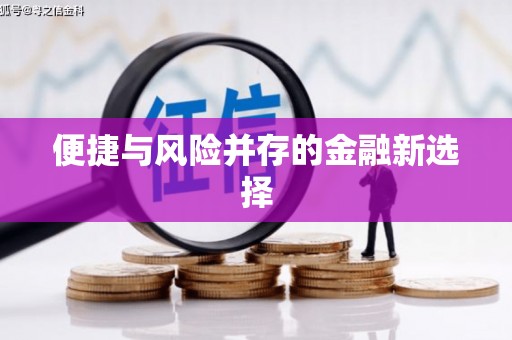 陆丰便捷与风险并存的金融新选择