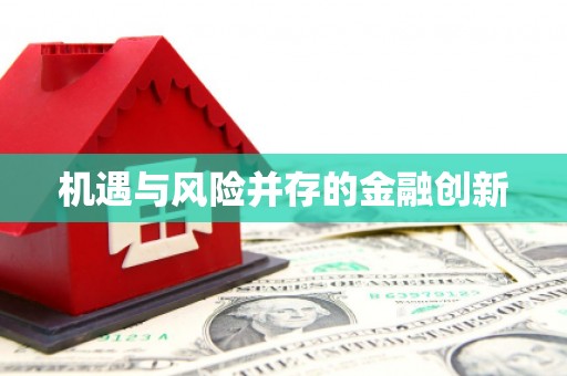 陆丰机遇与风险并存的金融创新
