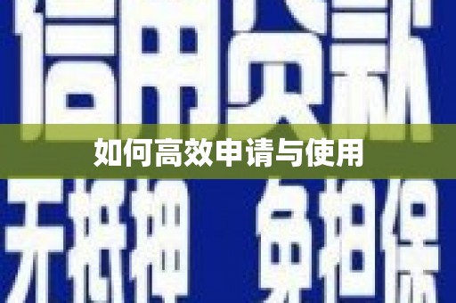 陆丰如何高效申请与使用