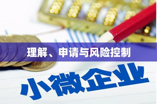 陆丰理解、申请与风险控制