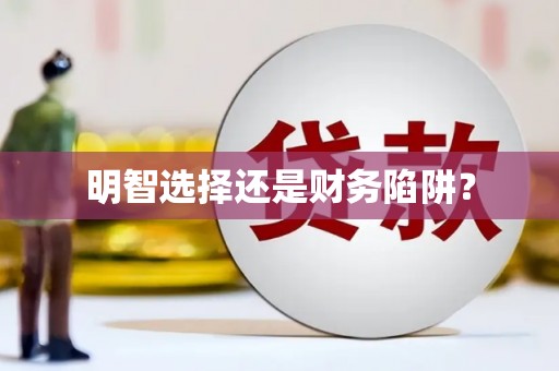 陆丰明智选择还是财务陷阱？