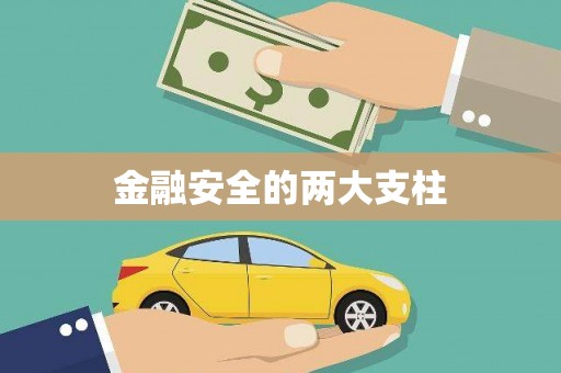 陆丰金融安全的两大支柱