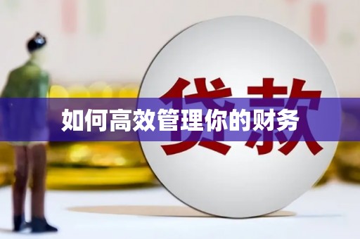陆丰如何高效管理你的财务
