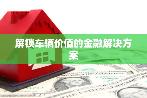 陆丰解锁车辆价值的金融解决方案