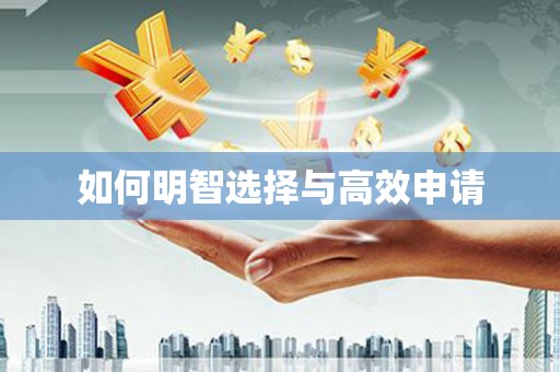 陆丰如何明智选择与高效申请