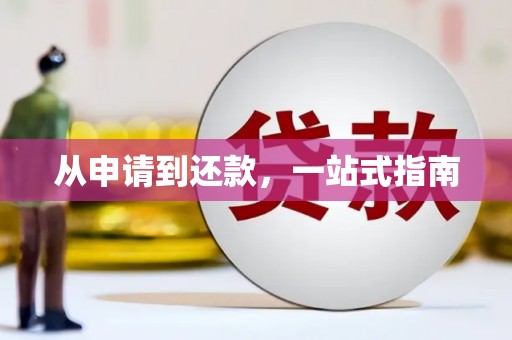 陆丰从申请到还款，一站式指南