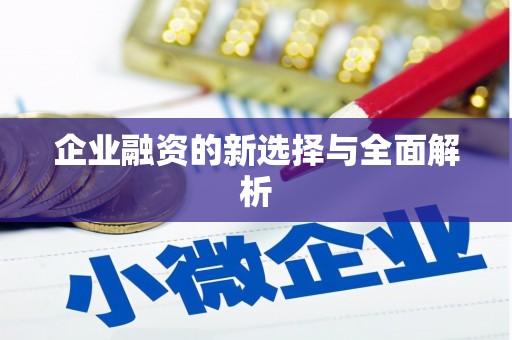 陆丰企业融资的新选择与全面解析