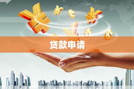 陆丰贷款申请
