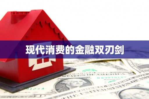 陆丰现代消费的金融双刃剑