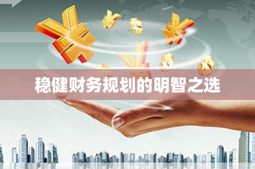 陆丰稳健财务规划的明智之选