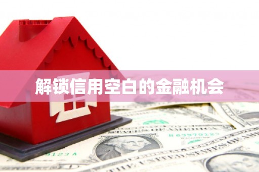 陆丰解锁信用空白的金融机会