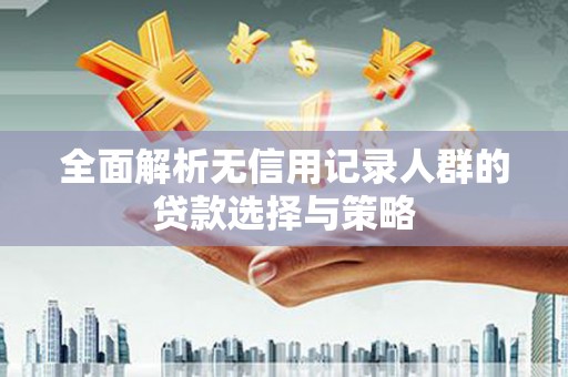 陆丰全面解析无信用记录人群的贷款选择与策略