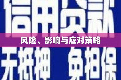 陆丰风险、影响与应对策略