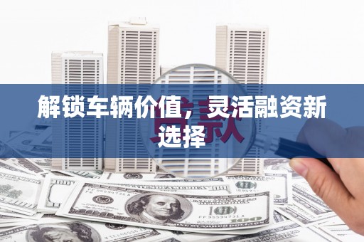 陆丰解锁车辆价值，灵活融资新选择