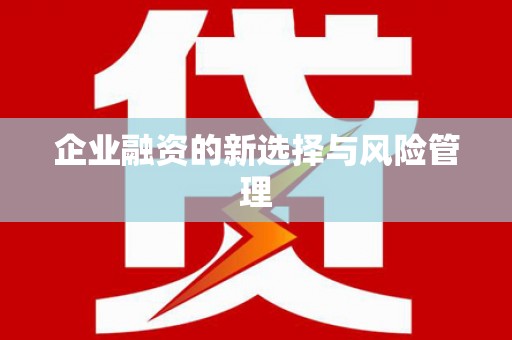 陆丰企业融资的新选择与风险管理