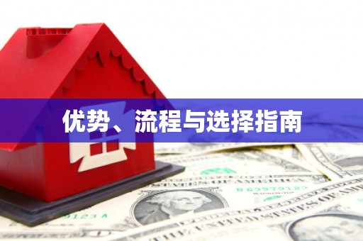 陆丰优势、流程与选择指南