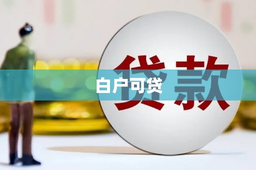 陆丰白户可贷