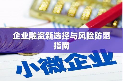 陆丰企业融资新选择与风险防范指南