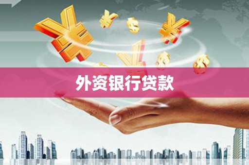 陆丰外资银行贷款