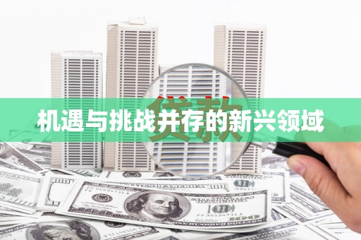 陆丰机遇与挑战并存的新兴领域