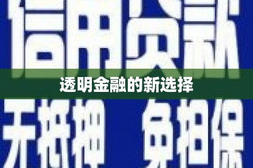 陆丰透明金融的新选择