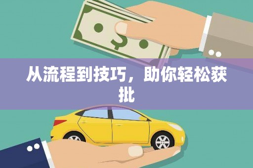 陆丰从流程到技巧，助你轻松获批