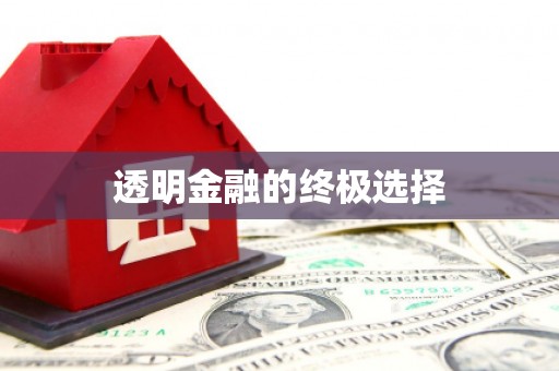 陆丰透明金融的终极选择
