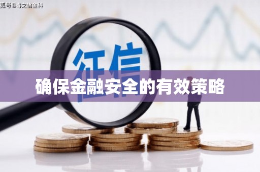 陆丰确保金融安全的有效策略