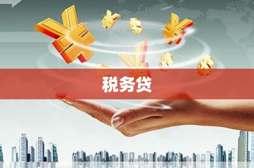 陆丰税务贷
