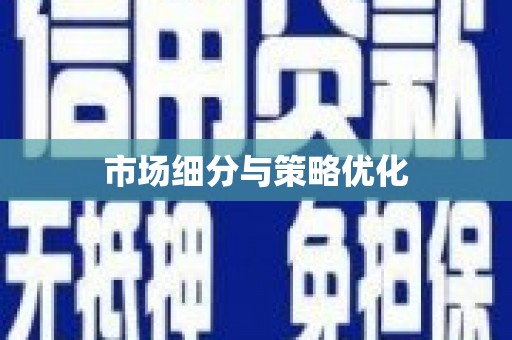 陆丰市场细分与策略优化