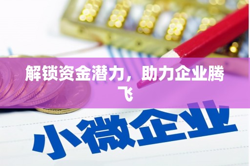 陆丰解锁资金潜力，助力企业腾飞