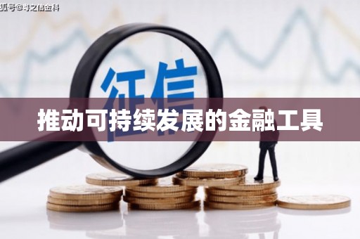 陆丰推动可持续发展的金融工具