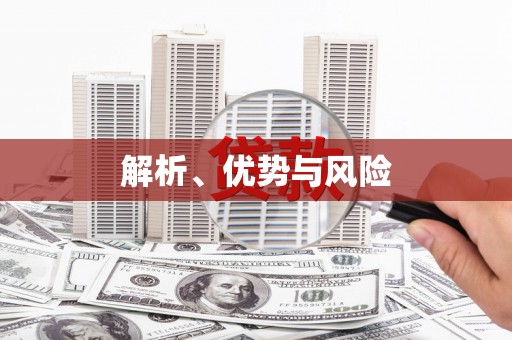 陆丰解析、优势与风险
