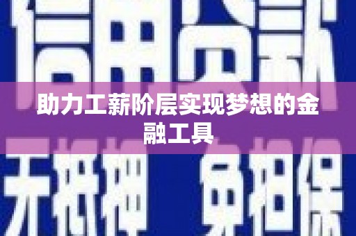 陆丰助力工薪阶层实现梦想的金融工具