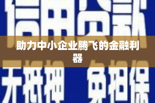 陆丰助力中小企业腾飞的金融利器