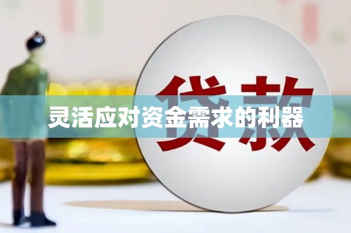 陆丰灵活应对资金需求的利器
