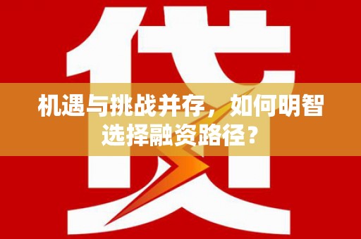 陆丰机遇与挑战并存，如何明智选择融资路径？