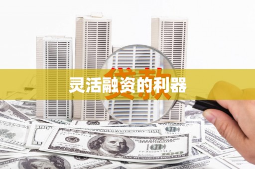 陆丰灵活融资的利器