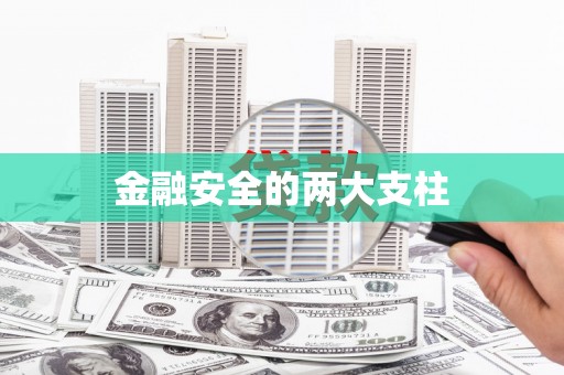 陆丰金融安全的两大支柱