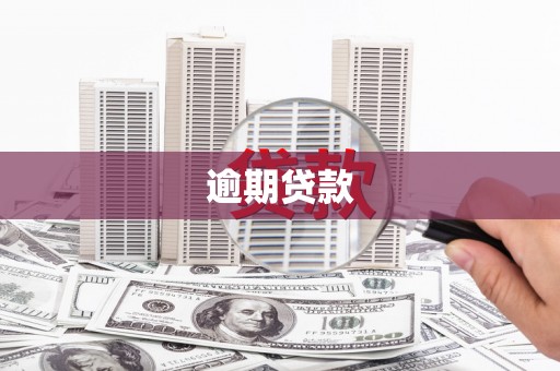 陆丰逾期贷款