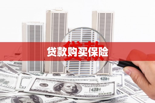 陆丰贷款购买保险
