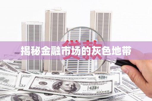 陆丰揭秘金融市场的灰色地带