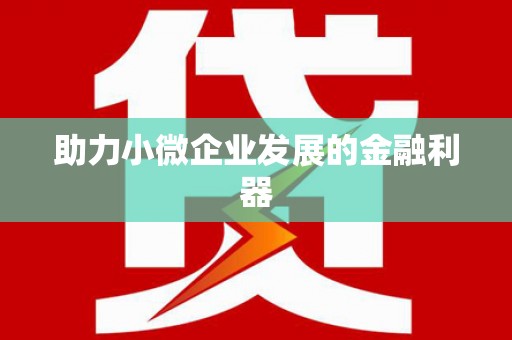 陆丰助力小微企业发展的金融利器