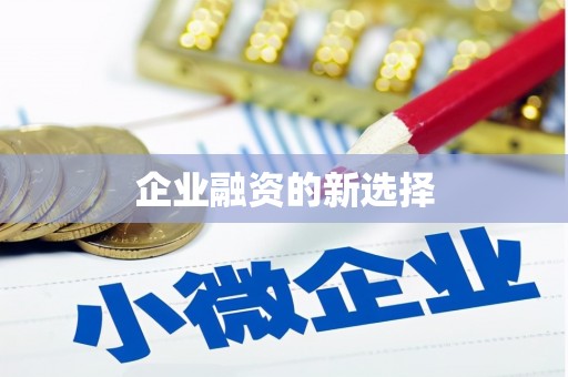 陆丰企业融资的新选择