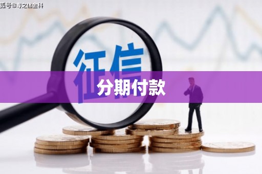 陆丰分期付款