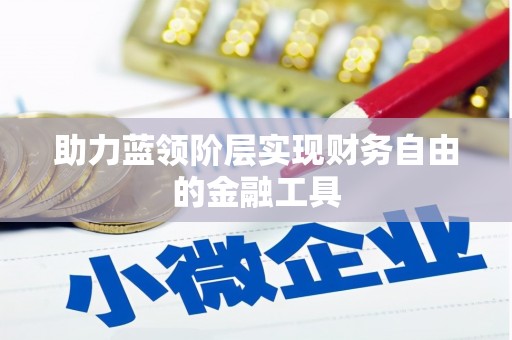 陆丰助力蓝领阶层实现财务自由的金融工具