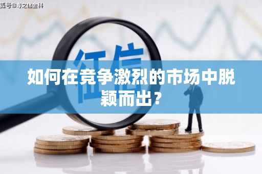 陆丰如何在竞争激烈的市场中脱颖而出？