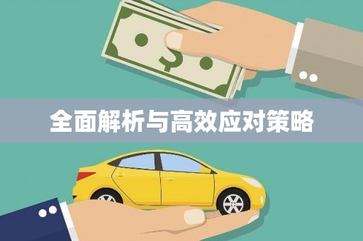 陆丰全面解析与高效应对策略