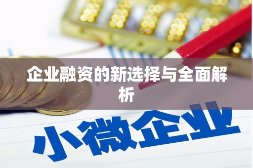 陆丰企业融资的新选择与全面解析