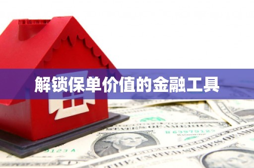 陆丰解锁保单价值的金融工具